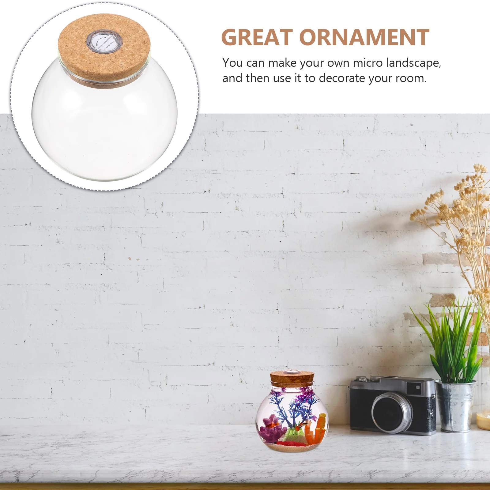 Фотография Детской бутылки ваза с горлышком фотография гидропонный Террариум