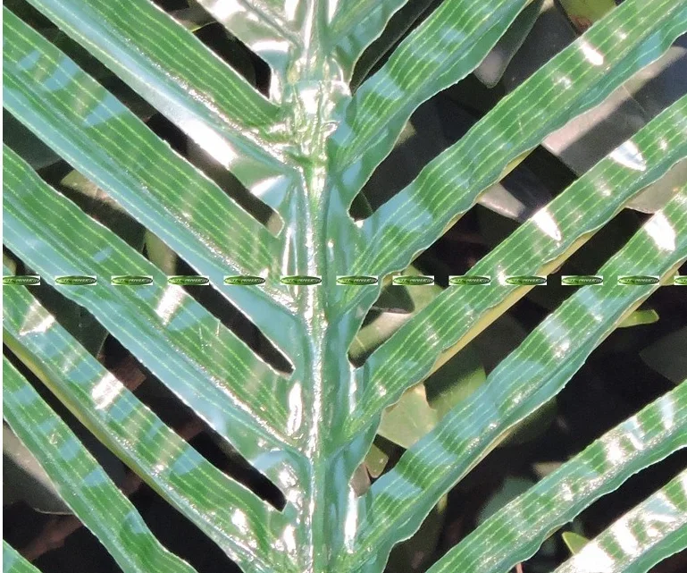 

Искусственные ветки пальмы Феникс QINWEGE LIFE 103 см зеленый