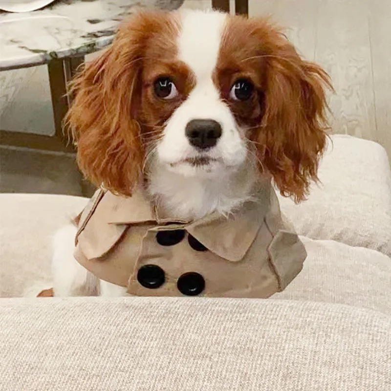 

Mini Windbreaker Cloak Teddy Bichon Corgi French Bulldog Kitty Small Dog scarf Kitty Bibs Designer Dog Outfits Pet Supplies