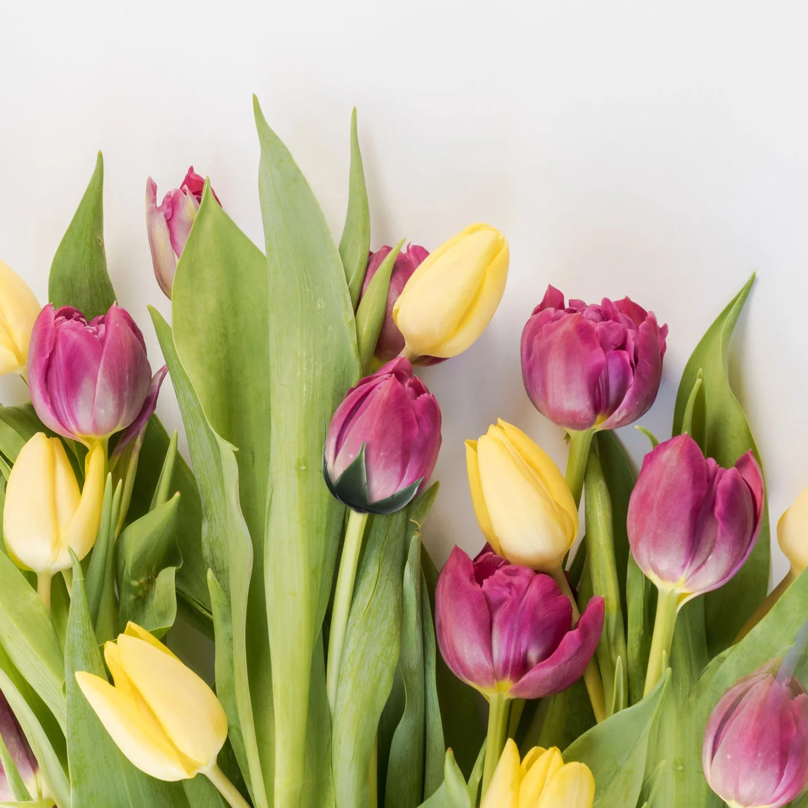 Розетка вечный розовый цветок ваза Sepal свежие цветы имитация розы калликс