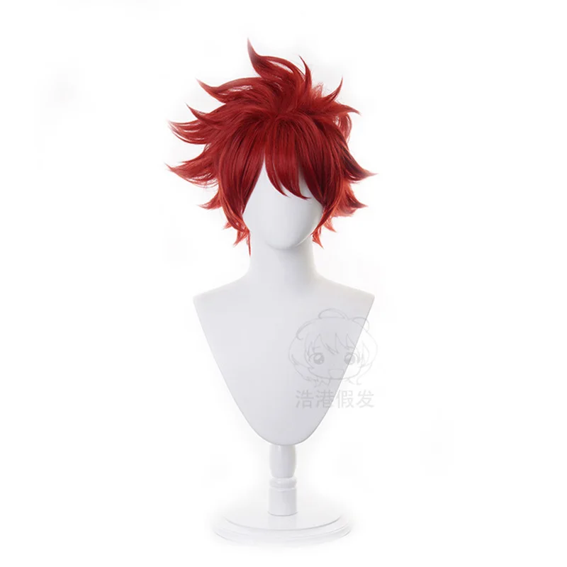 SK8 REKI Косплей Парик 30 см Короткие синтетические волосы The Infinity Kyan Reki Костюм Парики