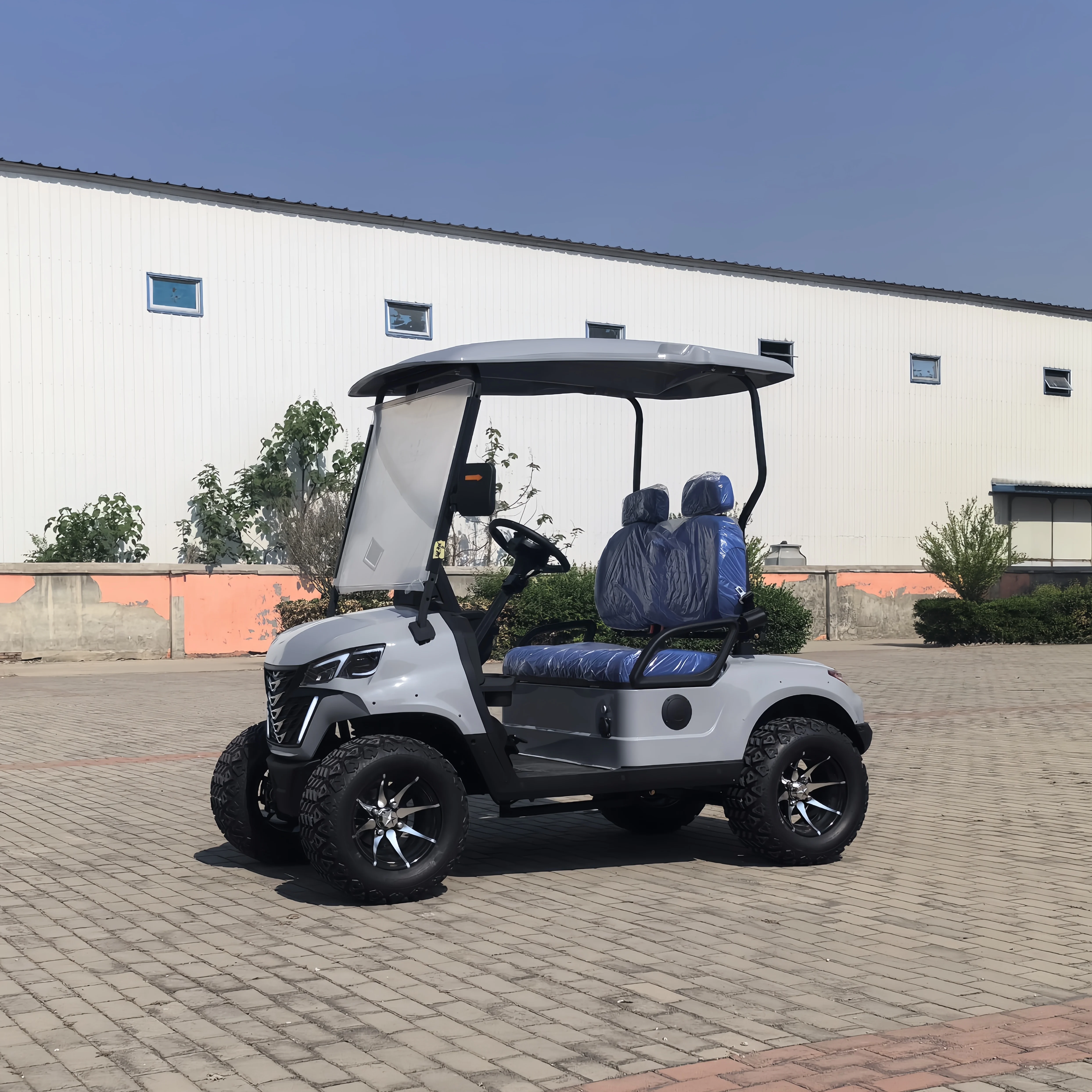 Лидер продаж электрическая тележка для гольфа 48 В с точечным сертификатом из