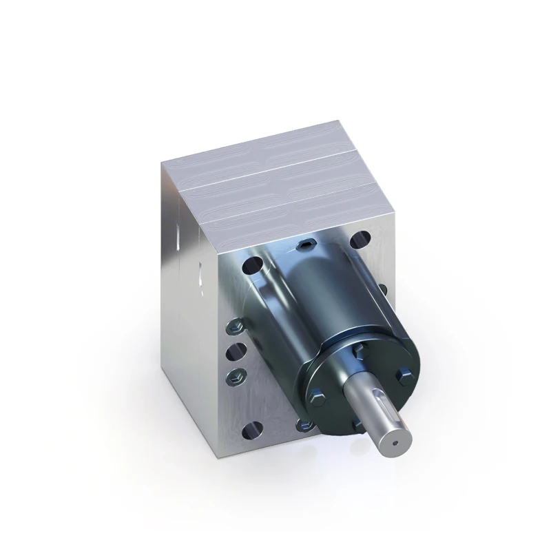 

Mini Stainless Steel Gear Pump