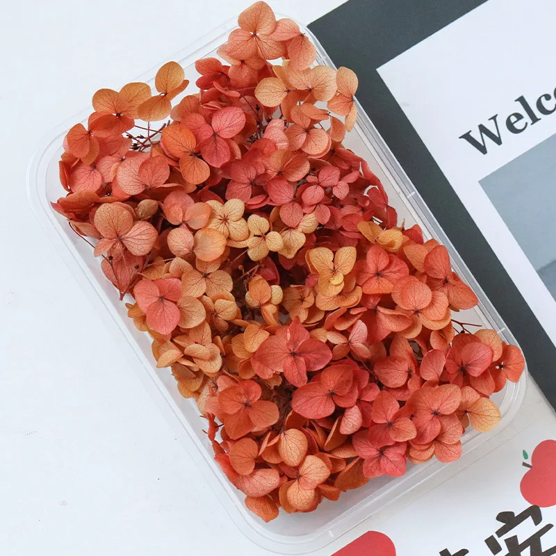 

Фоторамка Анна градиентная гортензия