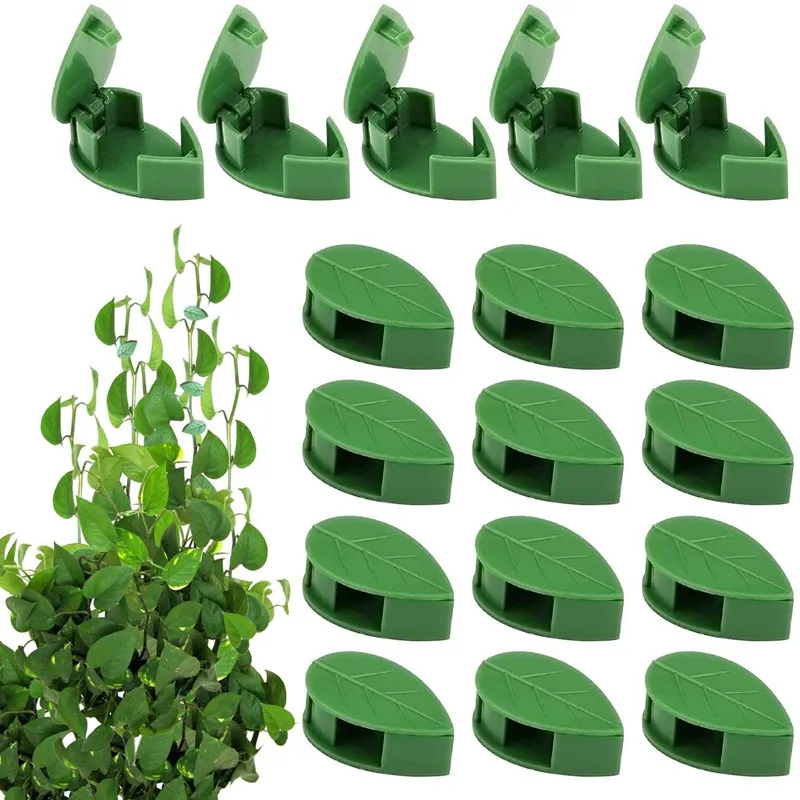 

10Pcs/Set Invisible Plants Bracket Plant Root Fixed Buckle Leaf Clips Vine Climb Wall Fixed Clip Garden Rattan Traction Holder