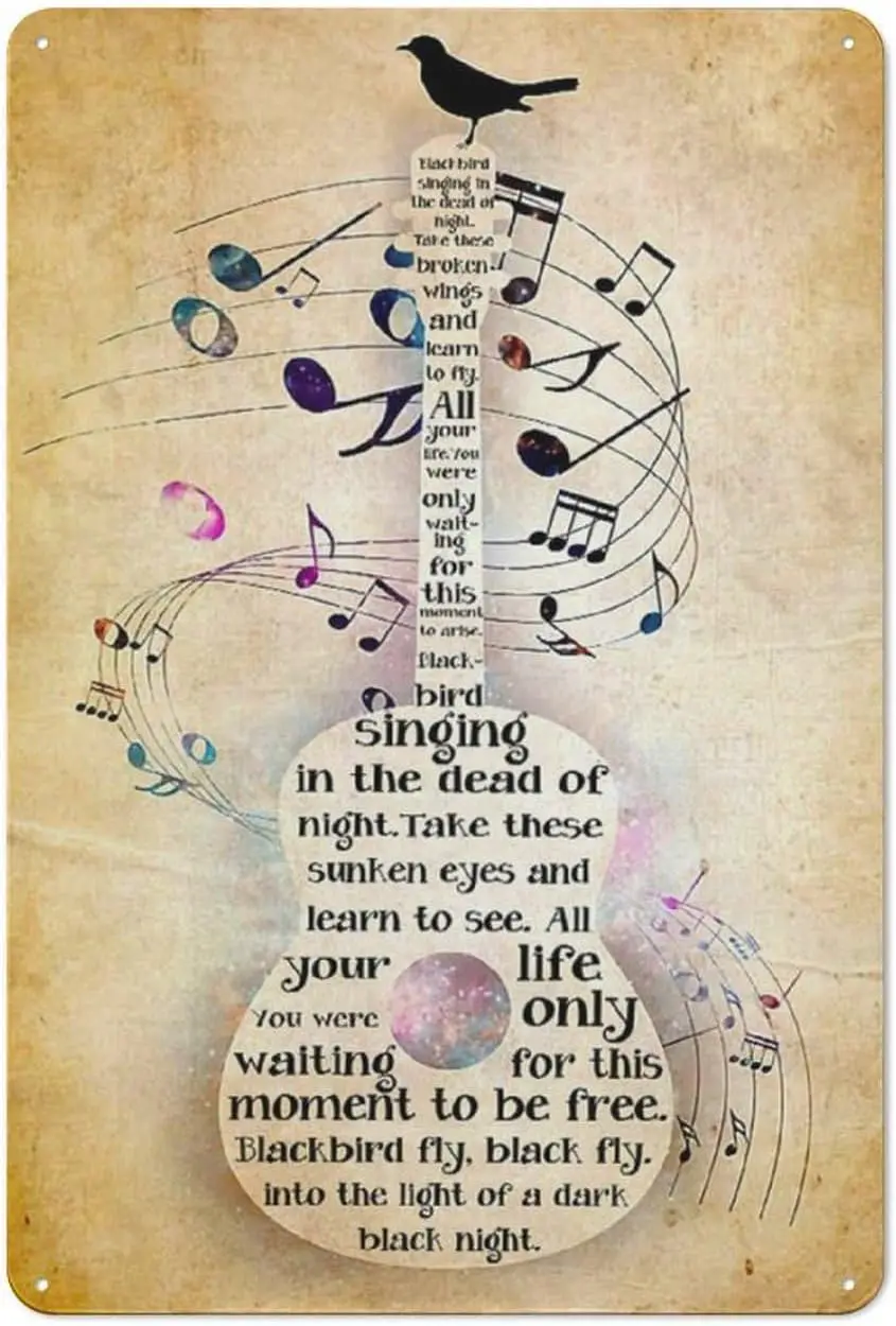 Металлический жестяной знак в рустикальном стиле гитара и птица любитель музыки