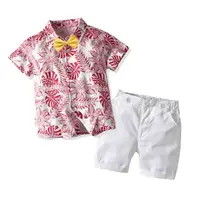 Summer Toddler Baby Boy Clothes Set Cute Print Bow Shirt Tops Short Pants 2Pcs Cotton Outfits