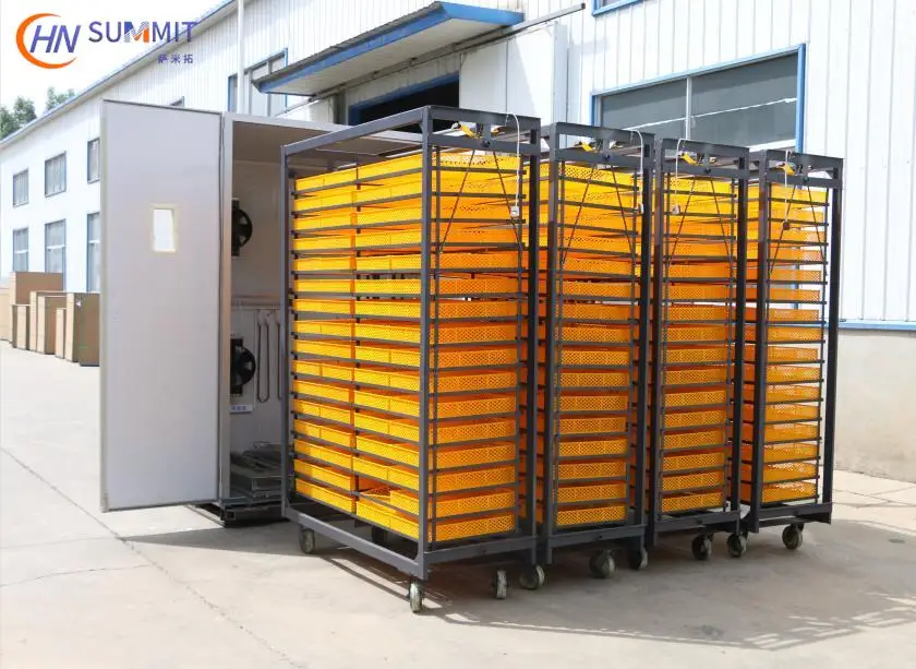 Рисунок 5 - Инкубатор для куриных яиц