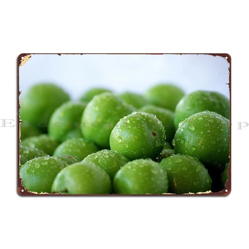 

Металлическая вывеска в стиле ретро с изображением сливы