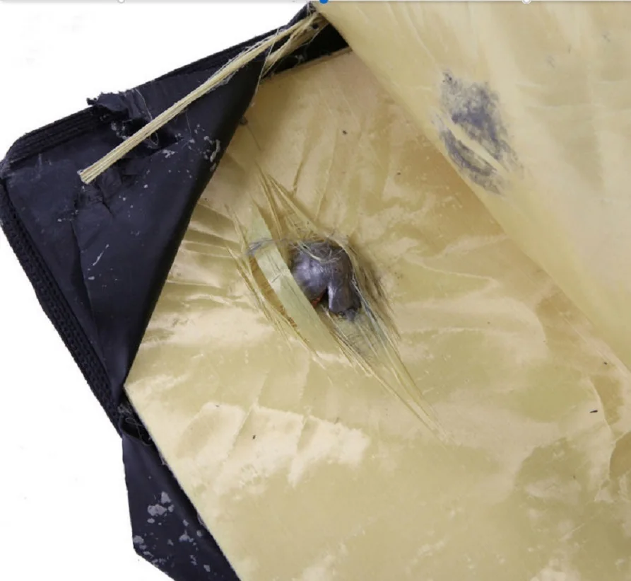 Рисунок 6 - Полицейские правоохранительные