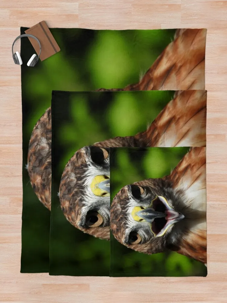 Фланелевое одеяло Red Tail Hawk Close Up Photo