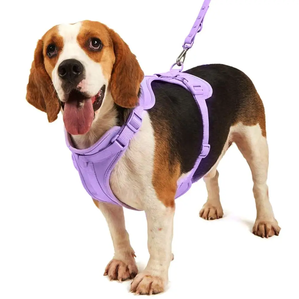 

Pet Chest Strap Waterproof Escapeproof Anti-bite Outdoor Walk Training Pet Harness For Small Medium Dog