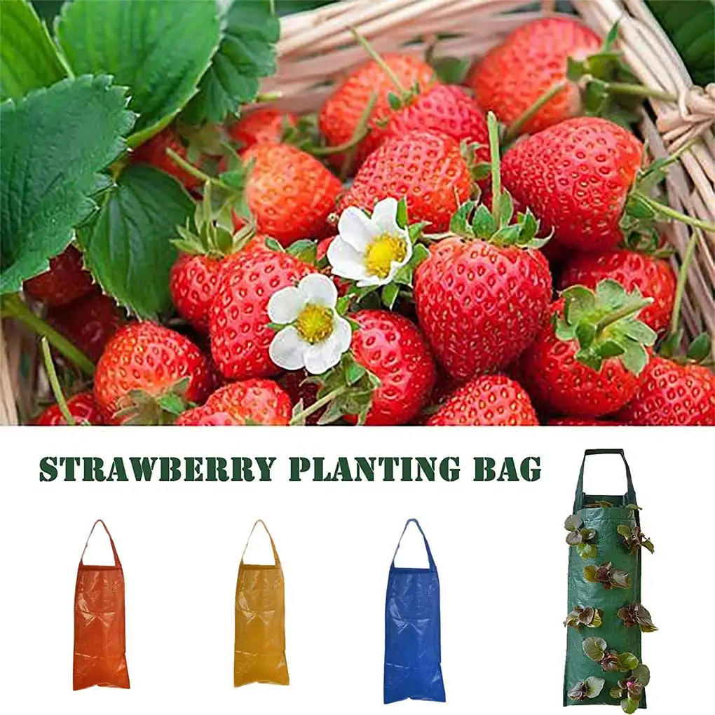 

Multi-Function Wall Hanging Grow Bag Strawberry Herb Nursery Pot PE Garden Flower Vegetable Growing Container Balcony Decoration