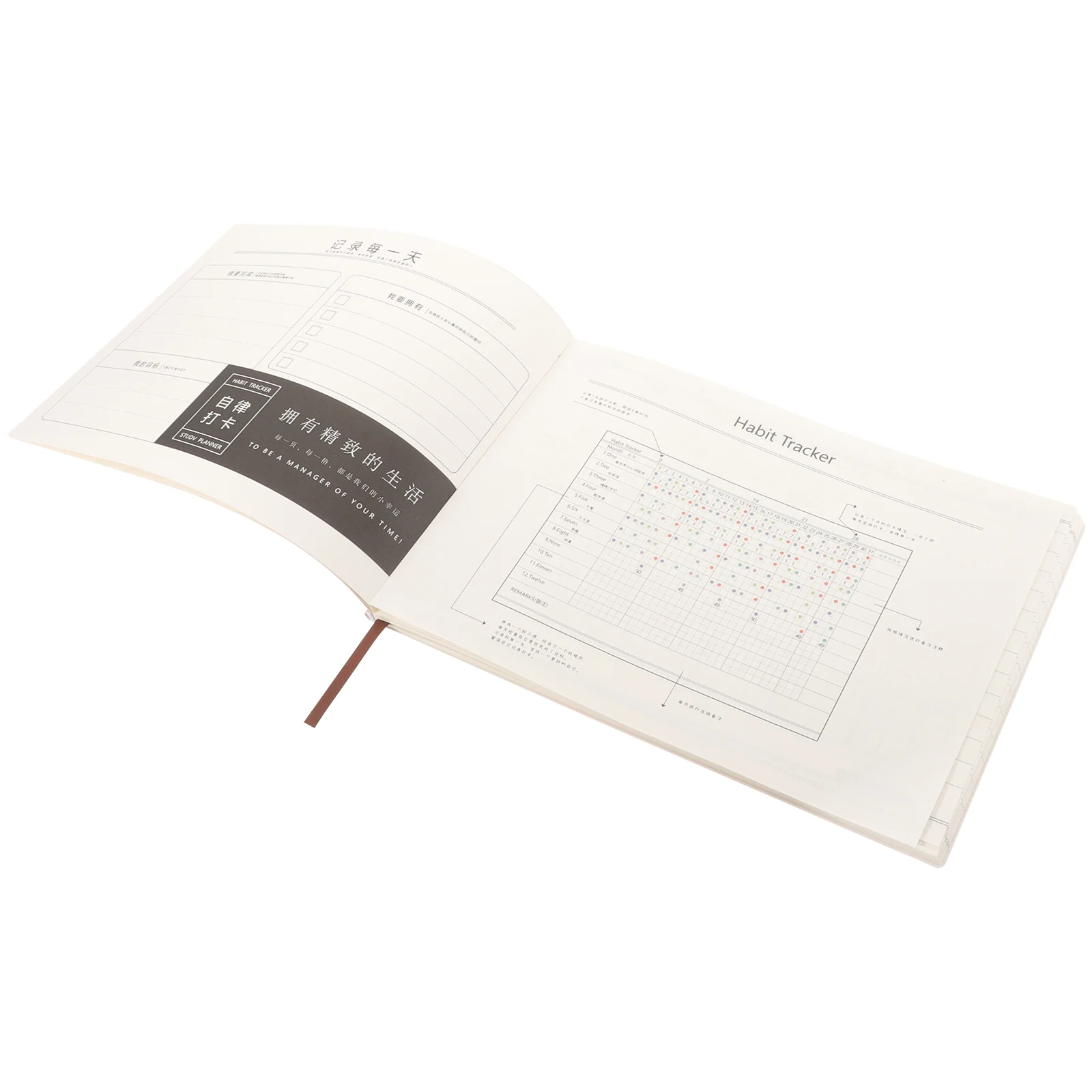 

Daily Workout Journal Notebook Delicate Fitness Planning Book Workout Tracker Planner