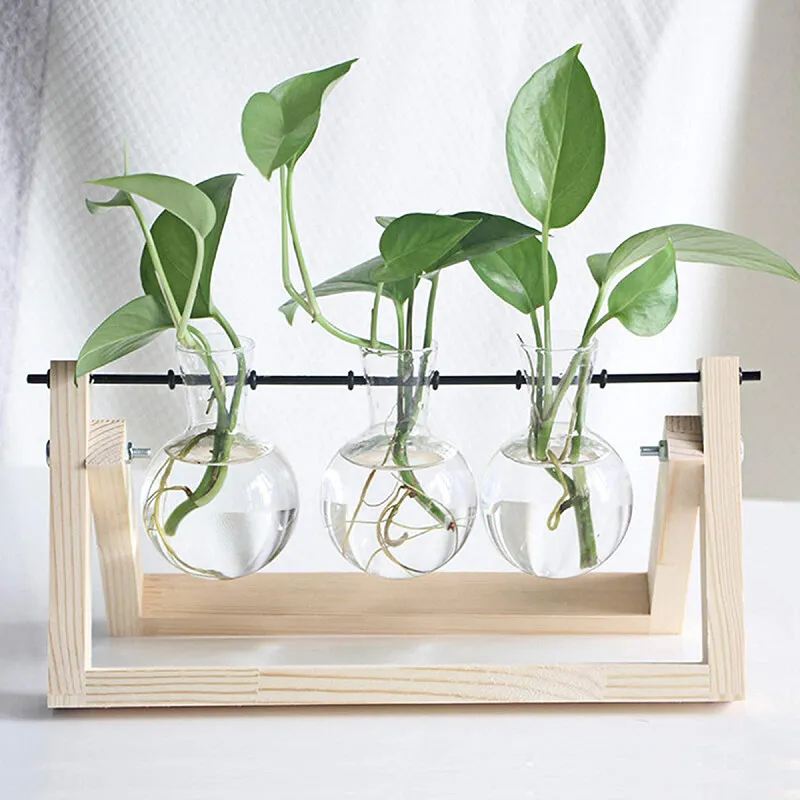 Креативная прозрачная ваза для гидропонных растений Terrarium с деревянной рамкой