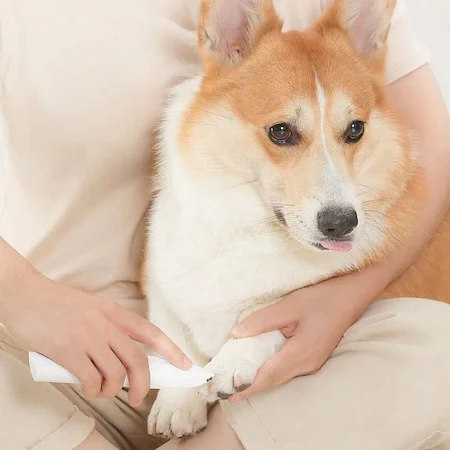 

Xiaomi Pet Razor Care Device 455582984