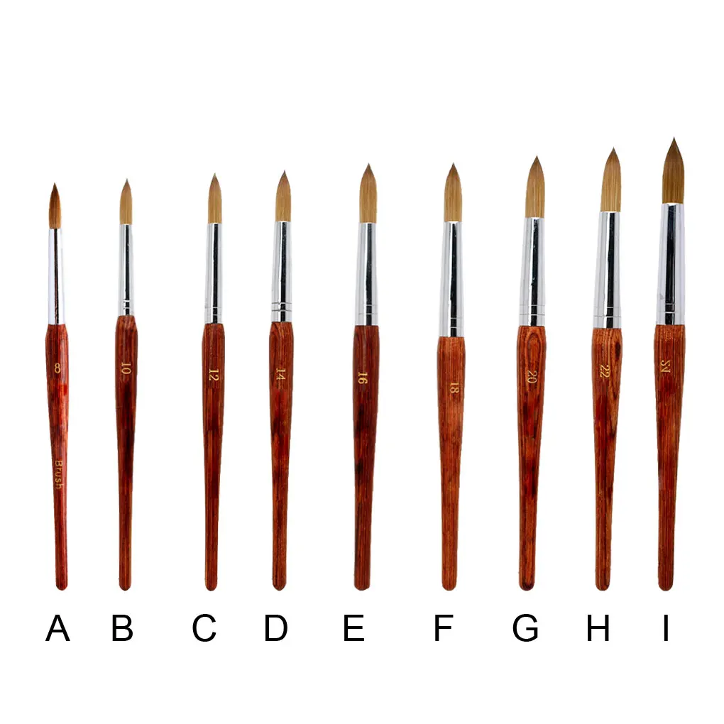 

Nail Brush Drawing Painting Supplies Lightweight Durable High Performance Nails Art Kit Convenient to Use Manicure Tool style12