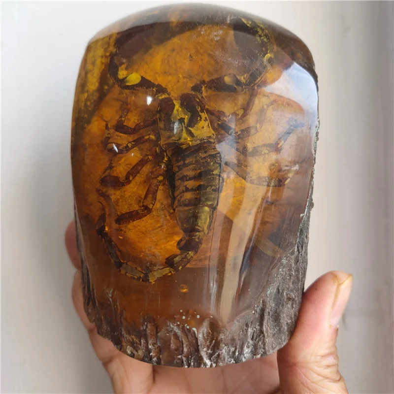 

Поставка антикварных изделий, искусственный Янтарь с насекомыми, Скорпион знает крабов, экстракт насекомых, орнамент