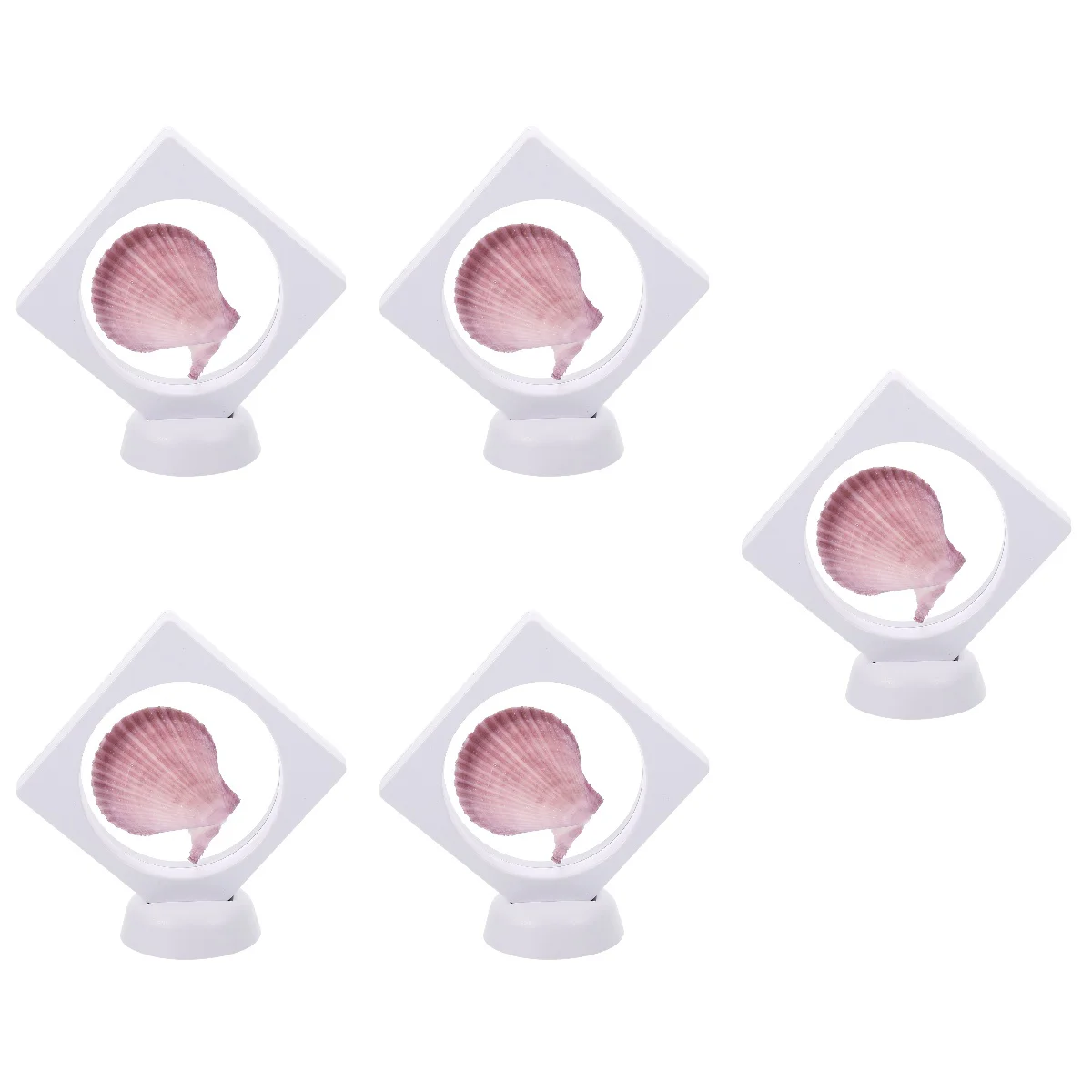 

5pcs Desktop Natural Conch Ornaments Tabletop Conch Decorative Props Desktop Adornments(Random Style)