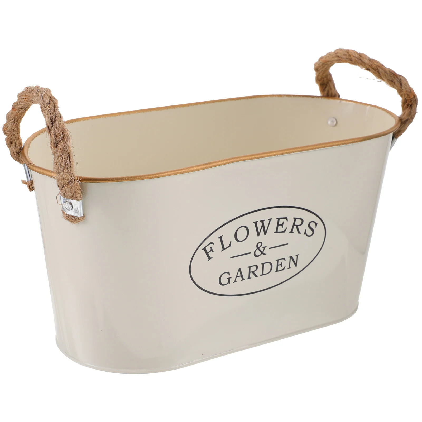 

Premium Rustic Style Double Handle Creative Cute Flower Pots for Party