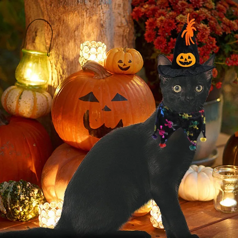 

Halloween Pet Hat With Collar Bell Cat Holiday Party Pumpkin Print Hat Pet Bib Dress Up Accessories Dog Fun Cute Decorations