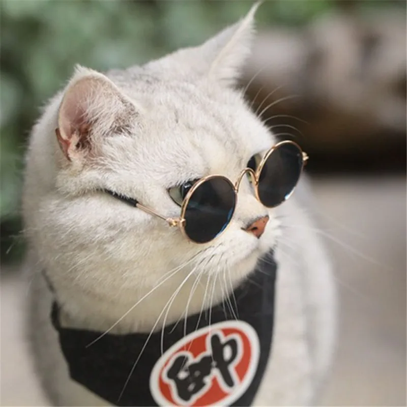 

Lovely Pet Glasses Cat Sunglasses Dog Sunglasses summer Headwear Vintage Eye Wear Glasses Pet Photos Props Accessories