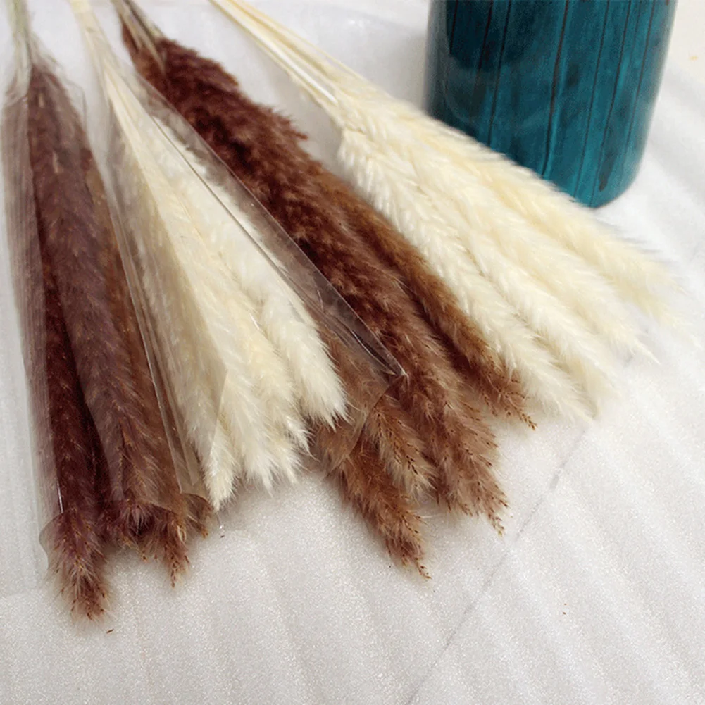 

15PCS Dried Reed Flower Artificial Dried Pampas Grass Phragmites Communis Bunch Natural Home Wedding Decoration Party Backdrop