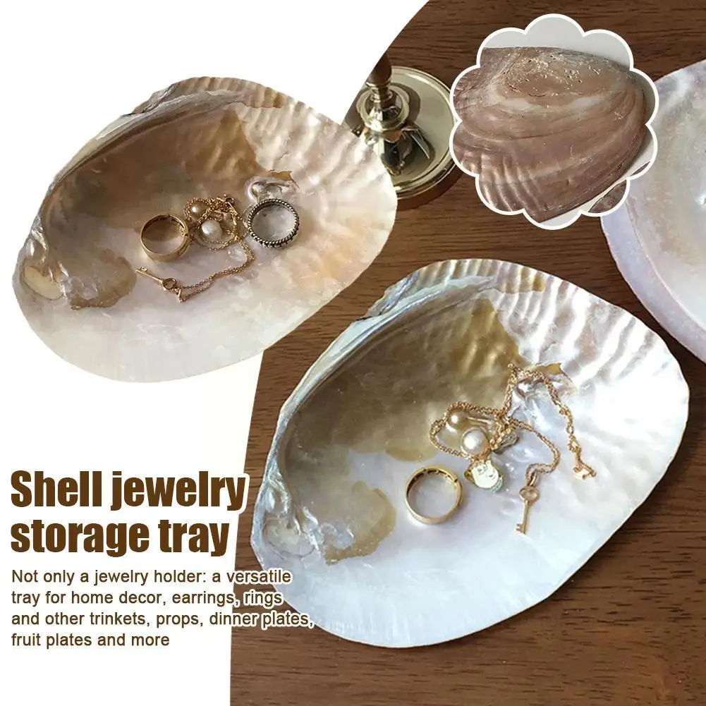 

Retro Natural Shell Jewelry Storage Tray Ins Photography Home Items Storage Small Decoration Props Ornaments G3P9
