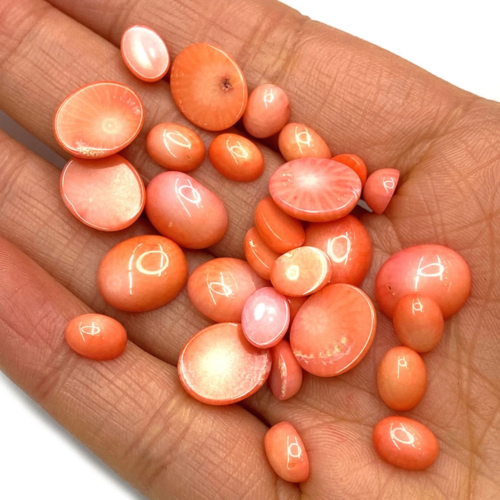 

High-quality Red Coral Cabochon Beads 6x8mm Oval Pink Gem Ring Face Cabochon Fashion Jewelry Coral Cabochon Beads Accessory
