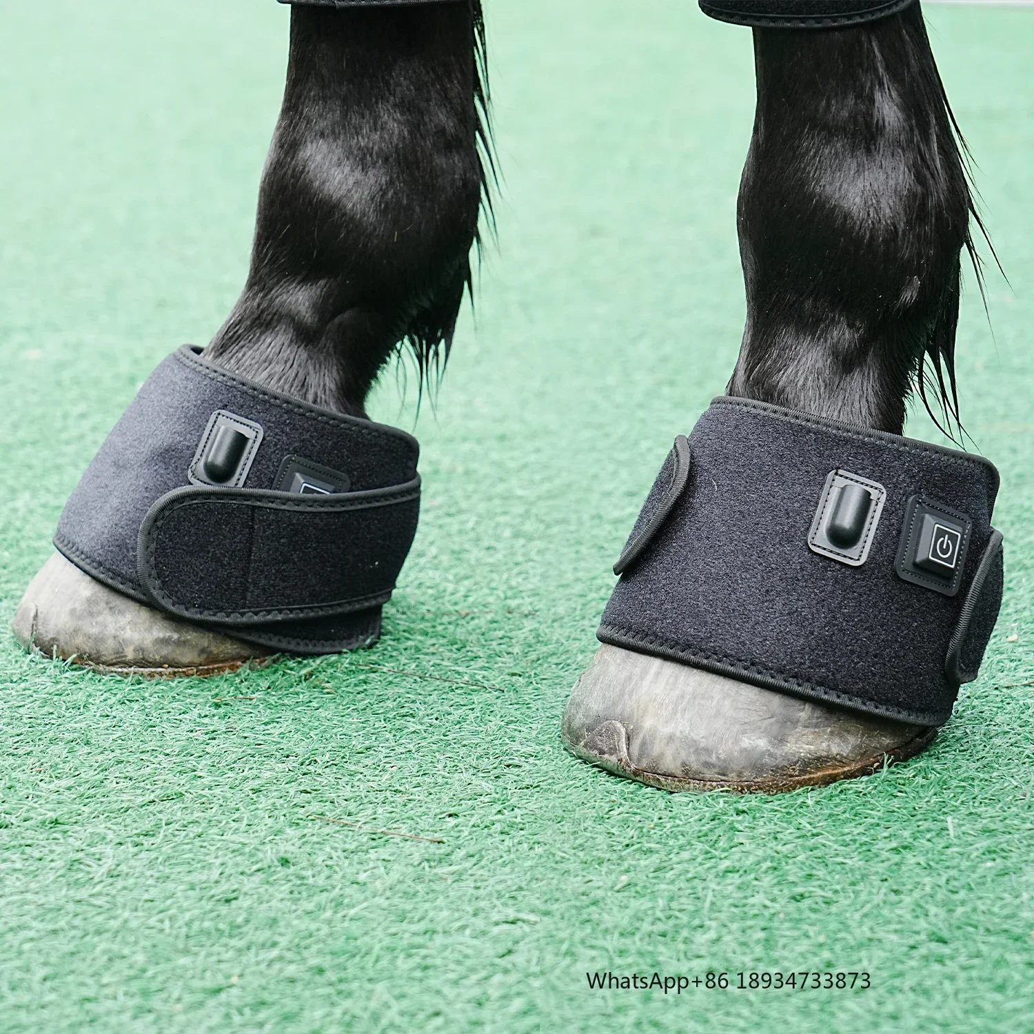 SODOLUX инфракрасный пояс для животных