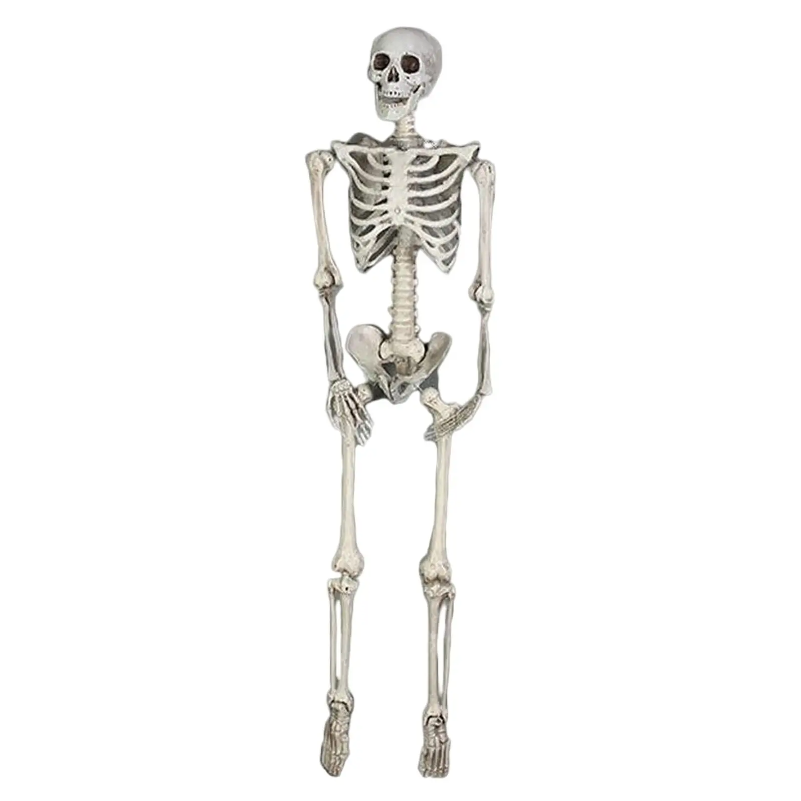 

Simulation Skeleton Ornaments Gifts for Themed Parties Living Room Tabletop