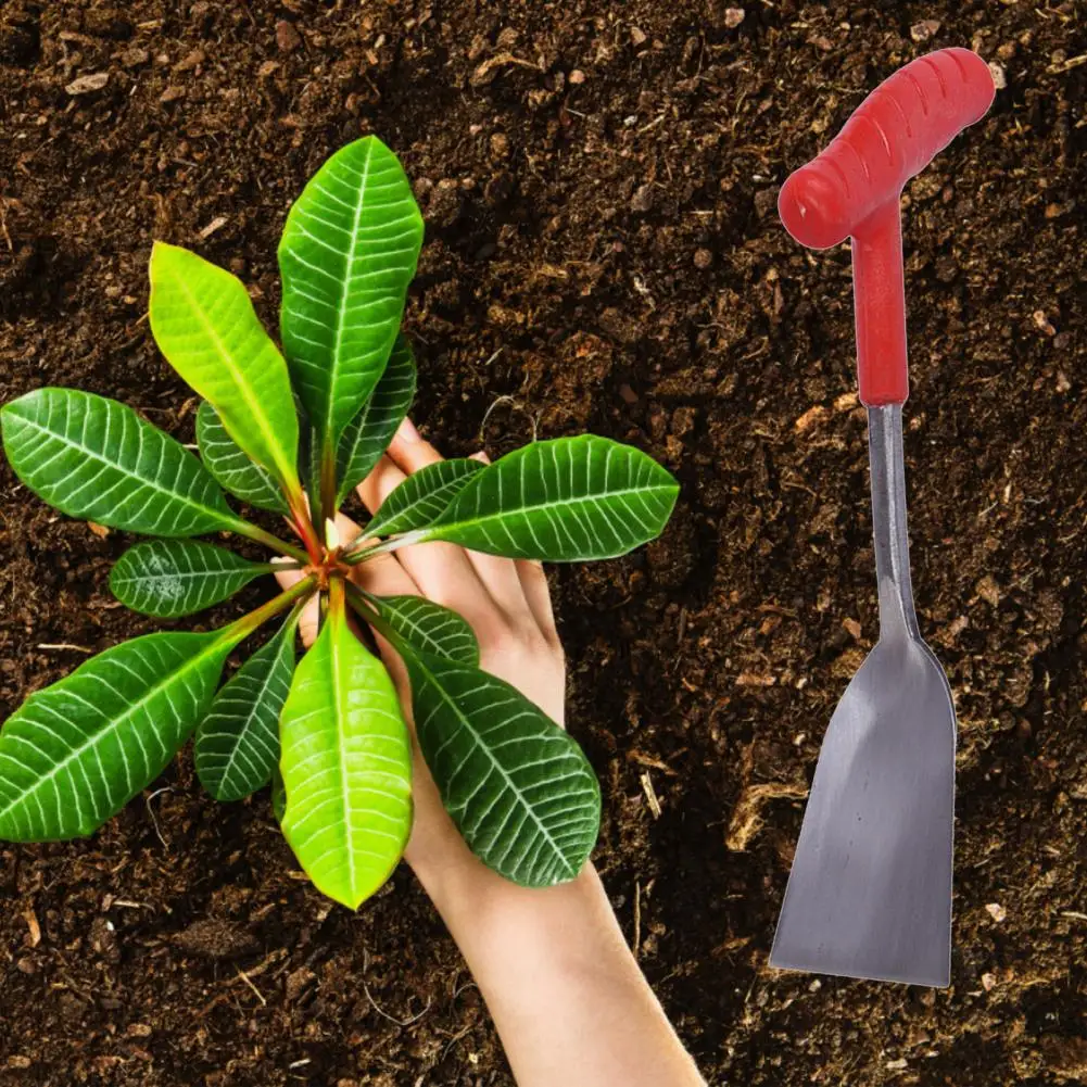 

Useful Smoothing Excavation Garden Transplant Shovel Garden Transplant Shovel Plastic Multipurpose