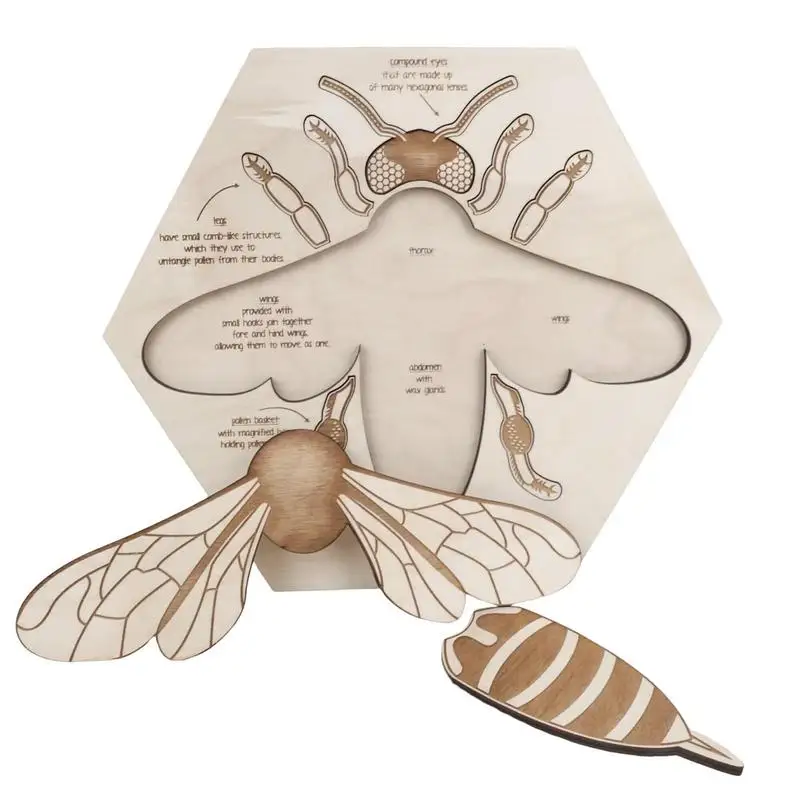 

Пазлы с многослойной анатомической структурой, деревянные головоломки с распознаванием конструкции пчелы для дошкольного обучения, развивающие игрушки