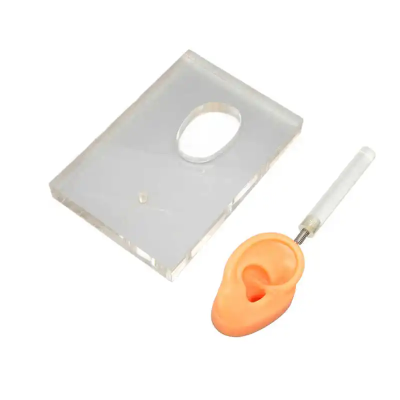 

Silicone Right Ear Model Silicone Ear Model Waterproof for School