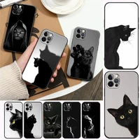cute cat good looking kitten black eyes phone case for apple iphone 13 pro 12 11 8 7 se xr xs max 5 5s 6 6s pro plus case funda