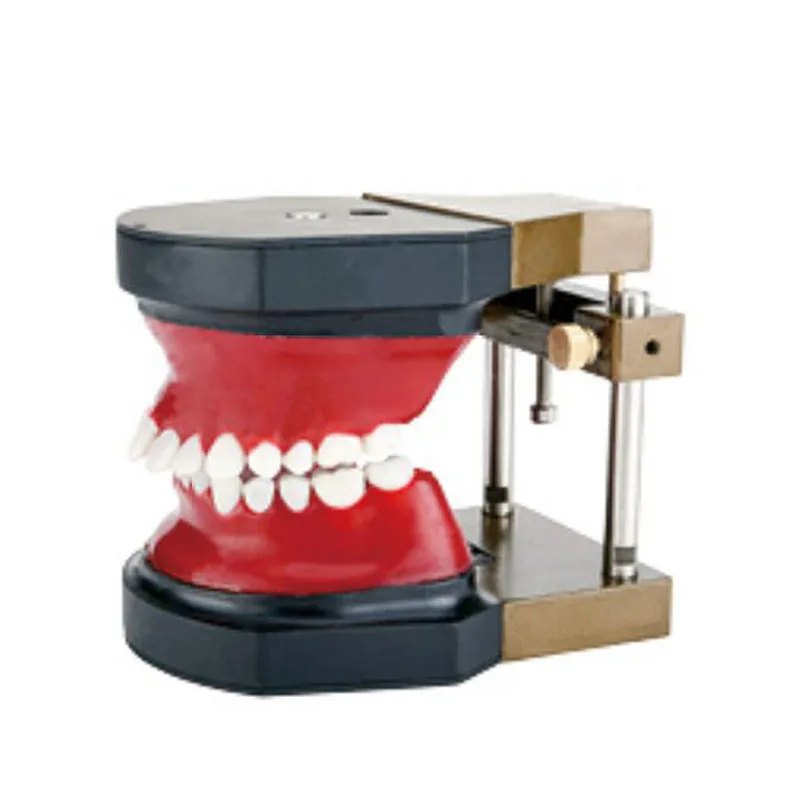 Модель зуба для обучения стоматологии модель в форме воска и окклюдер