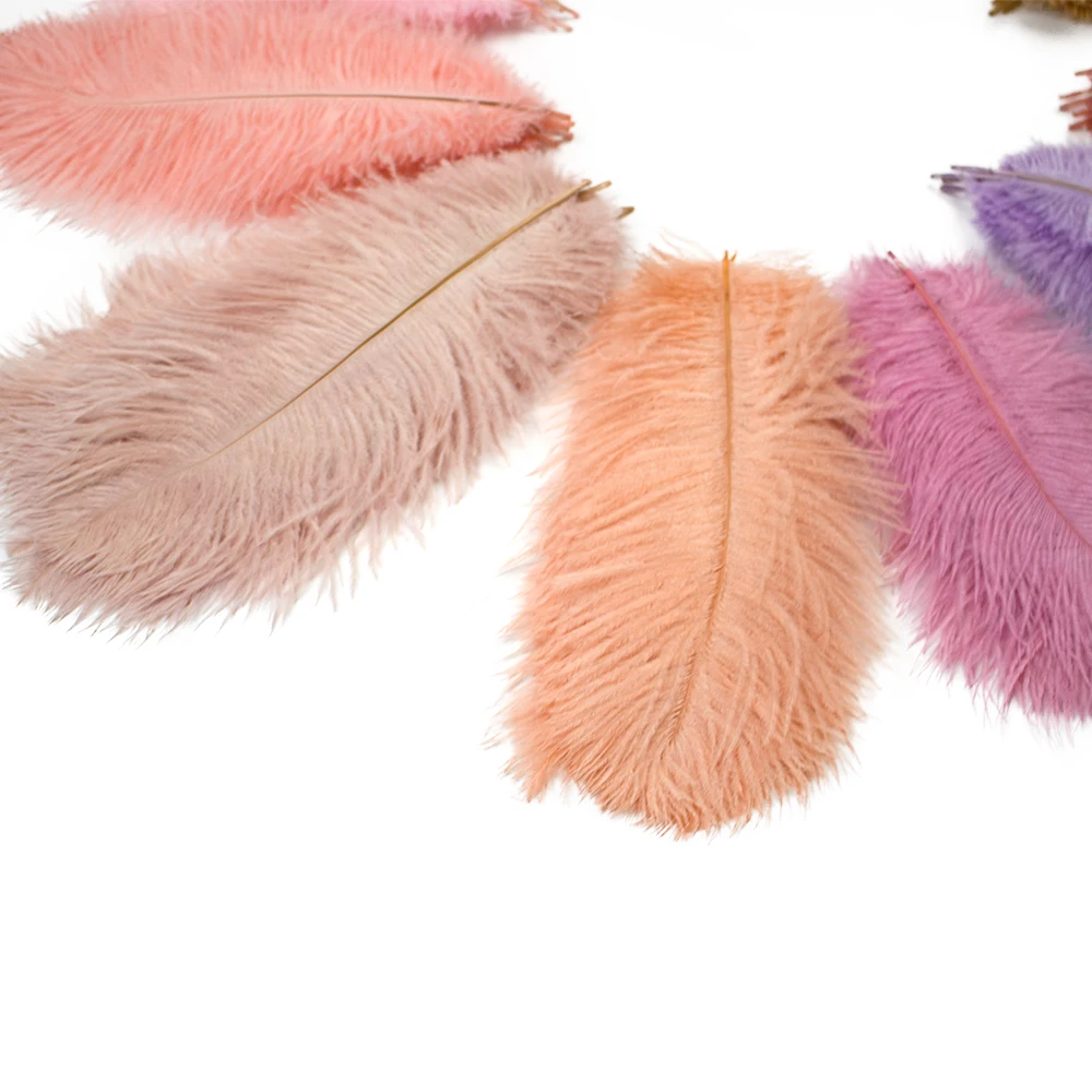 10 шт./лот натуральные страусиные перья красочный центральный элемент шлейф для