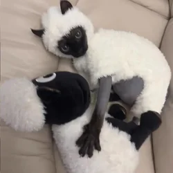 Костюмчик для питомца 