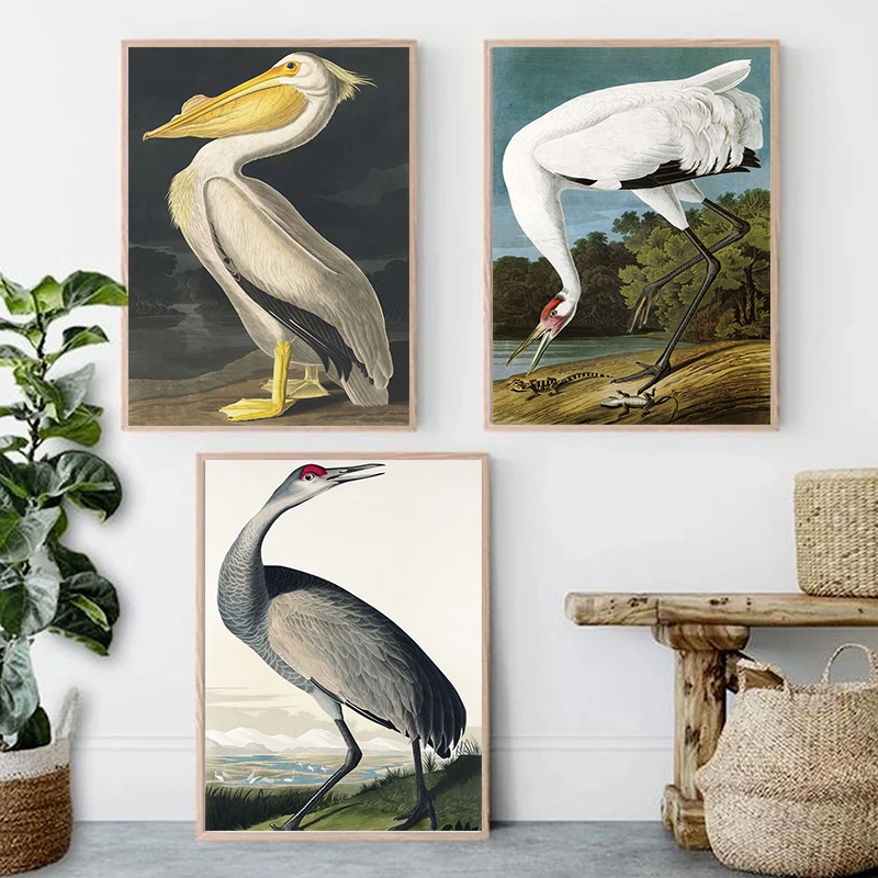 

Vintage Pink Flamingo Pelican Blue Heron Birds Art Posters Canvas Painting Animal Wall Art For Living Room Home Decoration