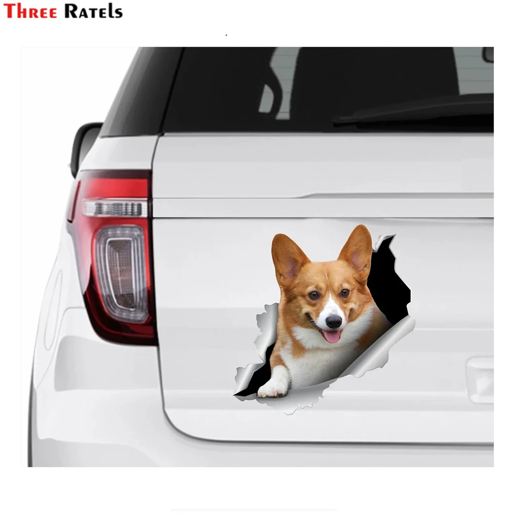 

Наклейки на окна автомобиля Three Ratels I660 Welsh Corgi и наклейки для Audi A3 8p декоративные автомобильные аксессуары