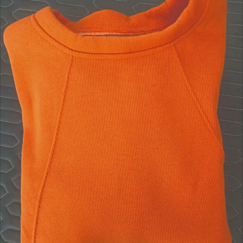 Корейский Женский свитшот с плюшевой подкладкой зимние осенние толстые