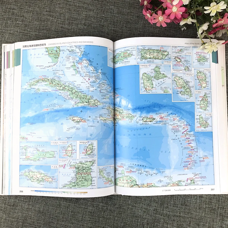 Рисунок 4 - Новинка 2022, справочная книга