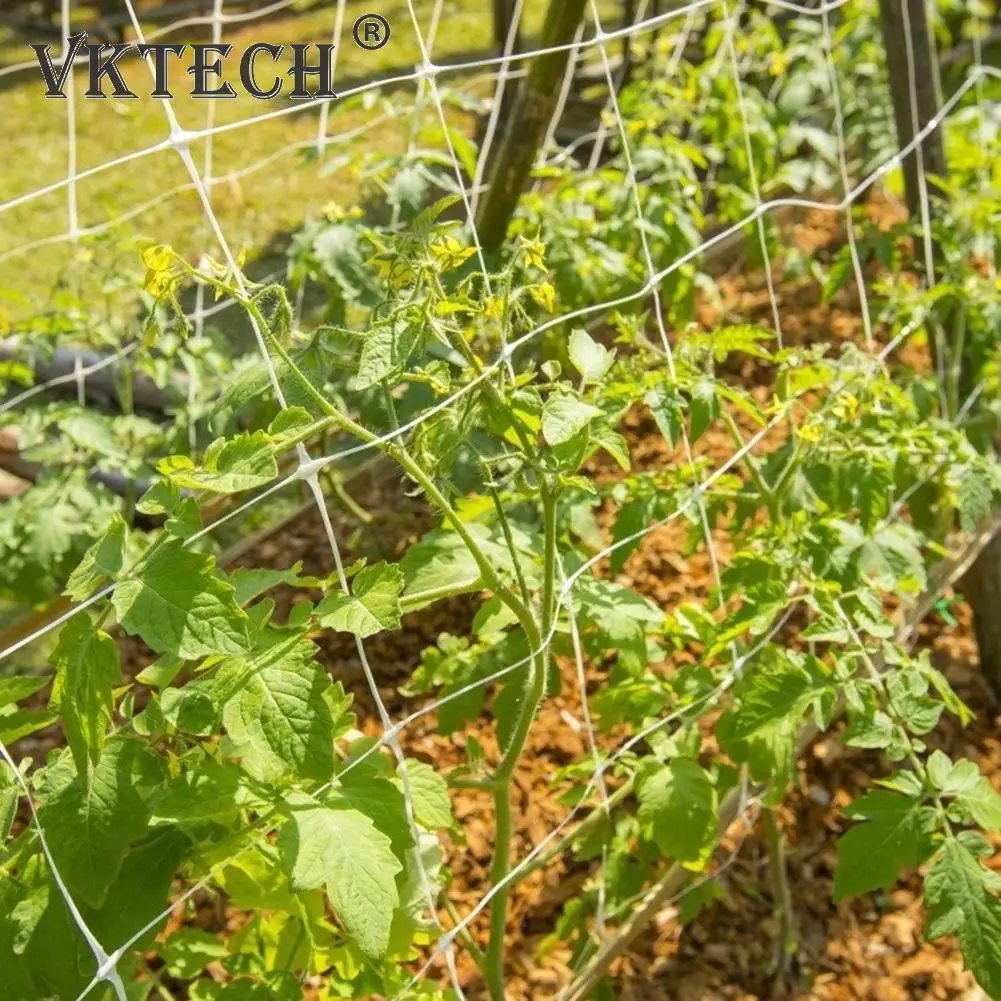 

Plant Polyester Trellis Netting Hydroponics Plant Supporting Vine Climbing Nets Home Garden Weaving Grow Holder Planting Net A