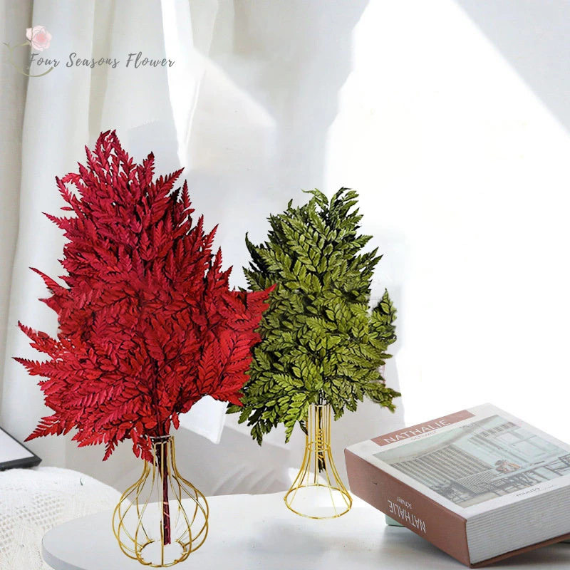 

15pcs Natural Dried Flowers Goat Tooth Fresh Preserved Flower Wedding Decorataion Fiddlehead Ferns Leaf Plants Boho Home Decor