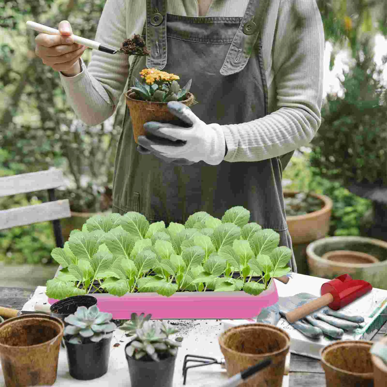 Лоток для выращивания ростков без почвы пищевой полипропилен здоровый лоток