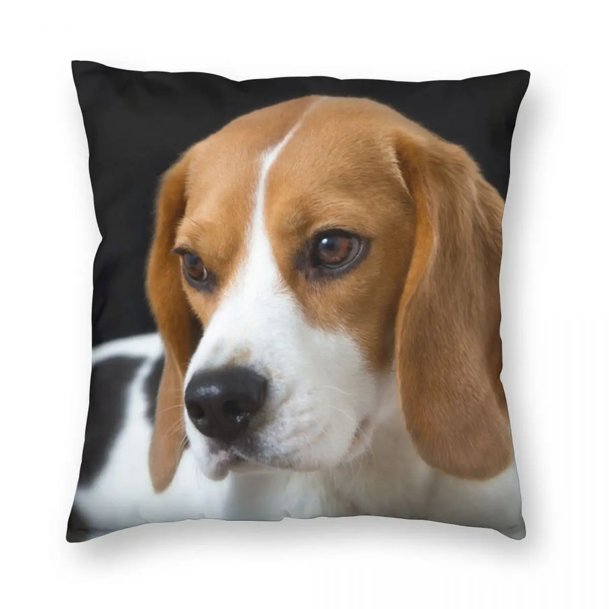 

Beagle On Black Square Pillowcase Polyester Linen Velvet Pattern Zip Decor Sofa Cushion Cover
