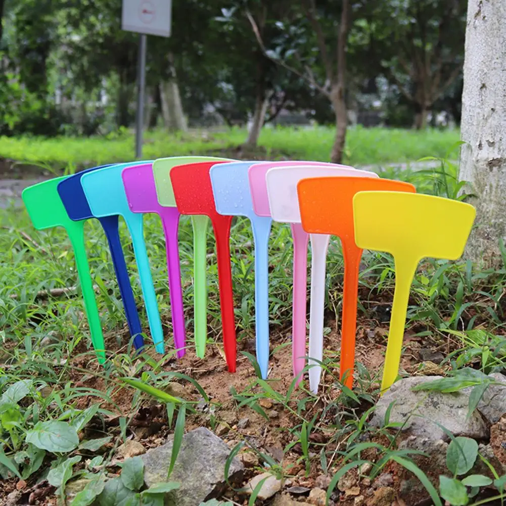 

Useful Plant Plaques Lightweight T-Shape Plastic Plant Tags Sturdy Easy Writing Tagging Marker for DIY