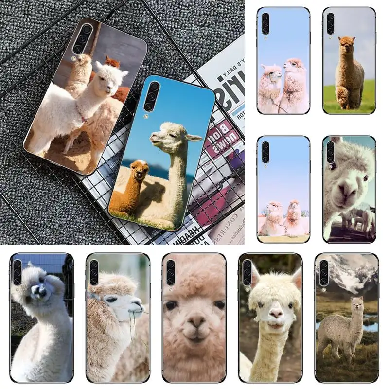 

Cute Lama Llama Alpacas Animal Phone Case For Samsung galaxy A S note 10 12 20 32 40 50 51 52 70 71 72 21 fe s ultra plus