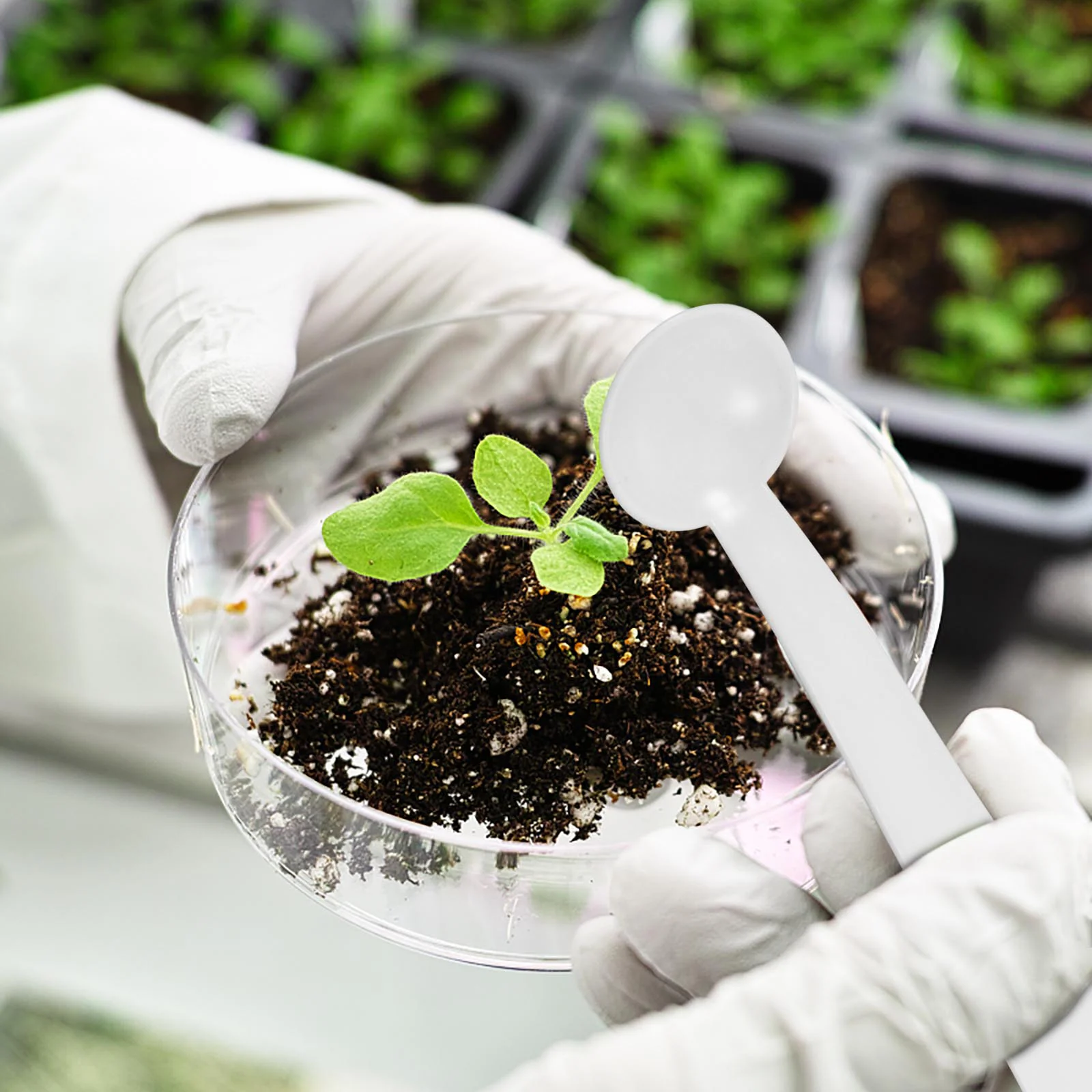 100 шт. лабораторный совок микро ложка ПП миниатюрный мерный прибор для измерения