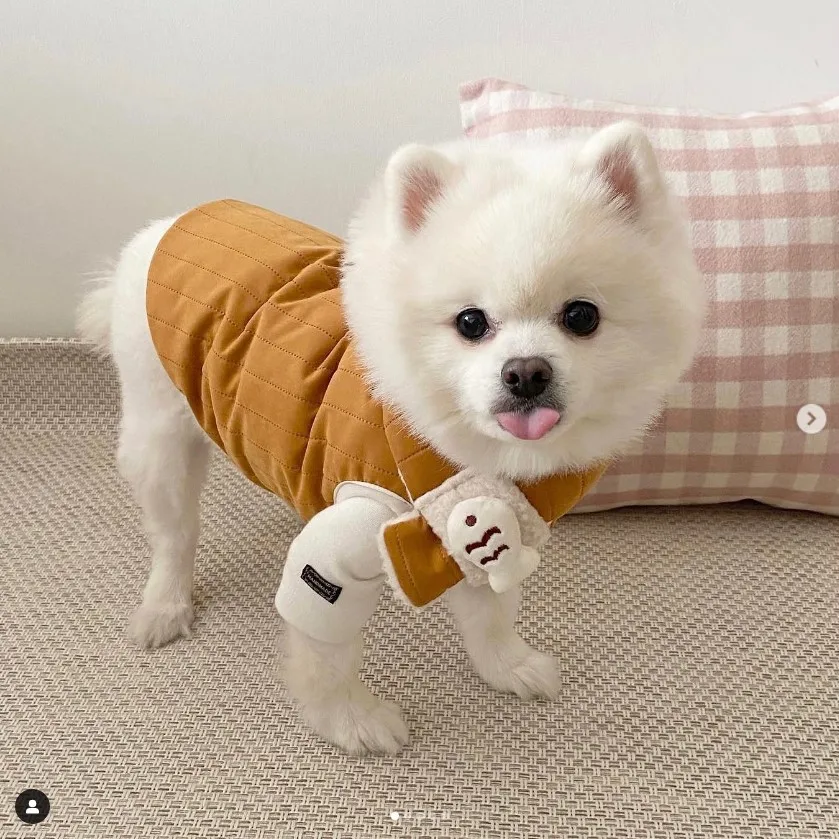 

Pet Clothes Autumn and Winter Quilted Cotton Vest Scarves for Small and Medium-sized Dogs and Cats Warm Two-piece Cotton Suit
